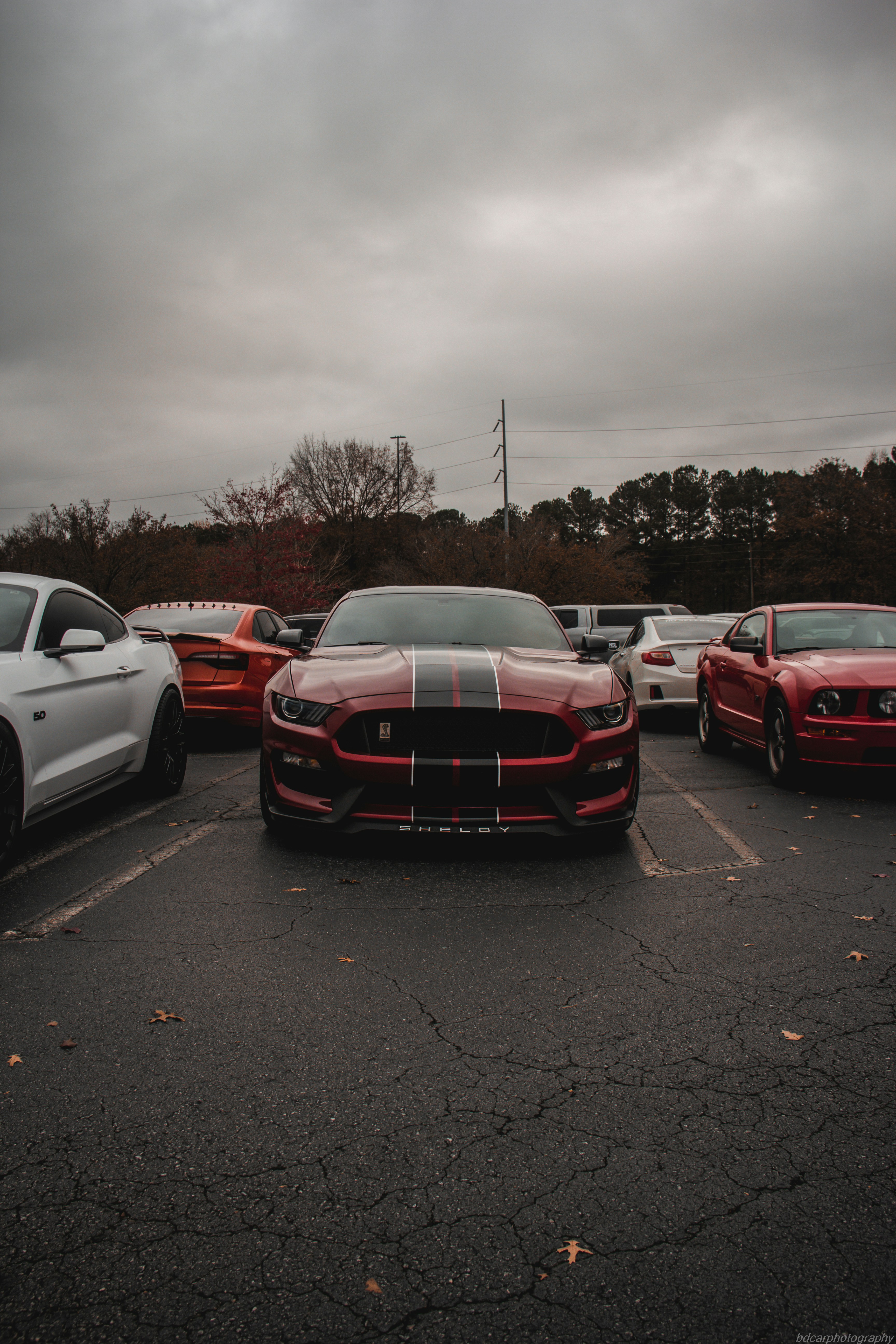 Select Your Vehicle